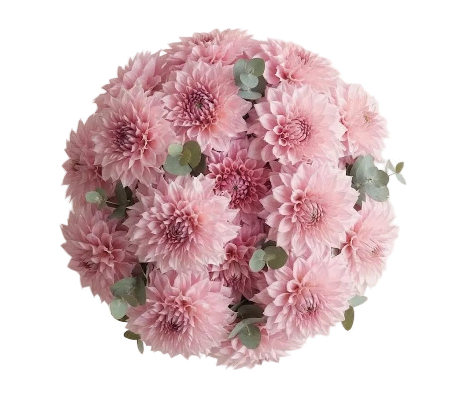 Pretty Pink Dhalia Bouquet with Eucalyptus