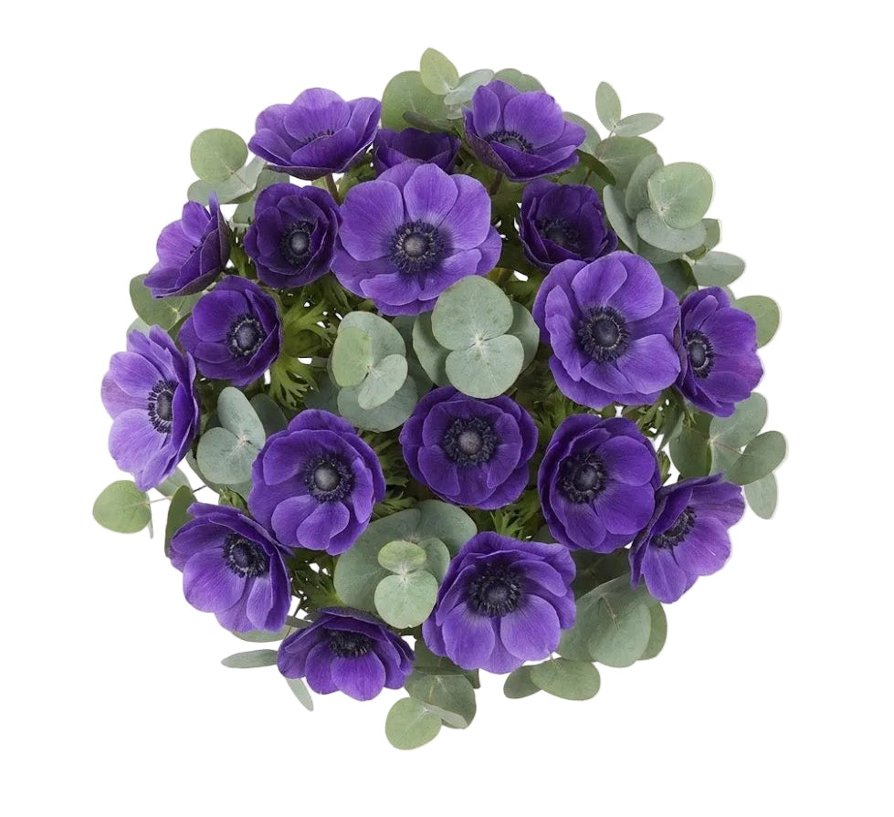 Purple Anemone with Greenery Bouquet