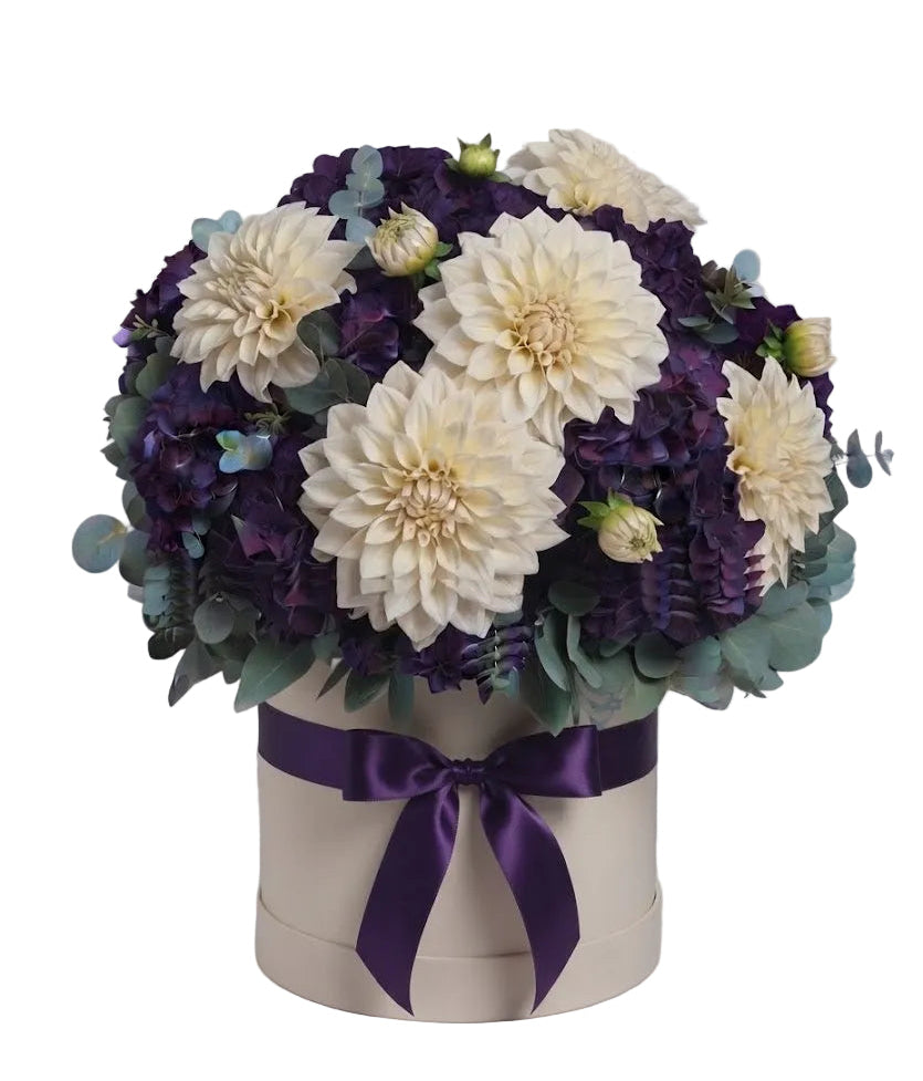 Purple Hydrangeas with Ivory Dahlia Exclusive Box