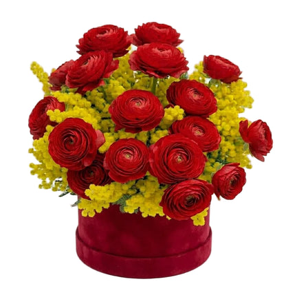 Ranunculus with Scented Mimosa Box