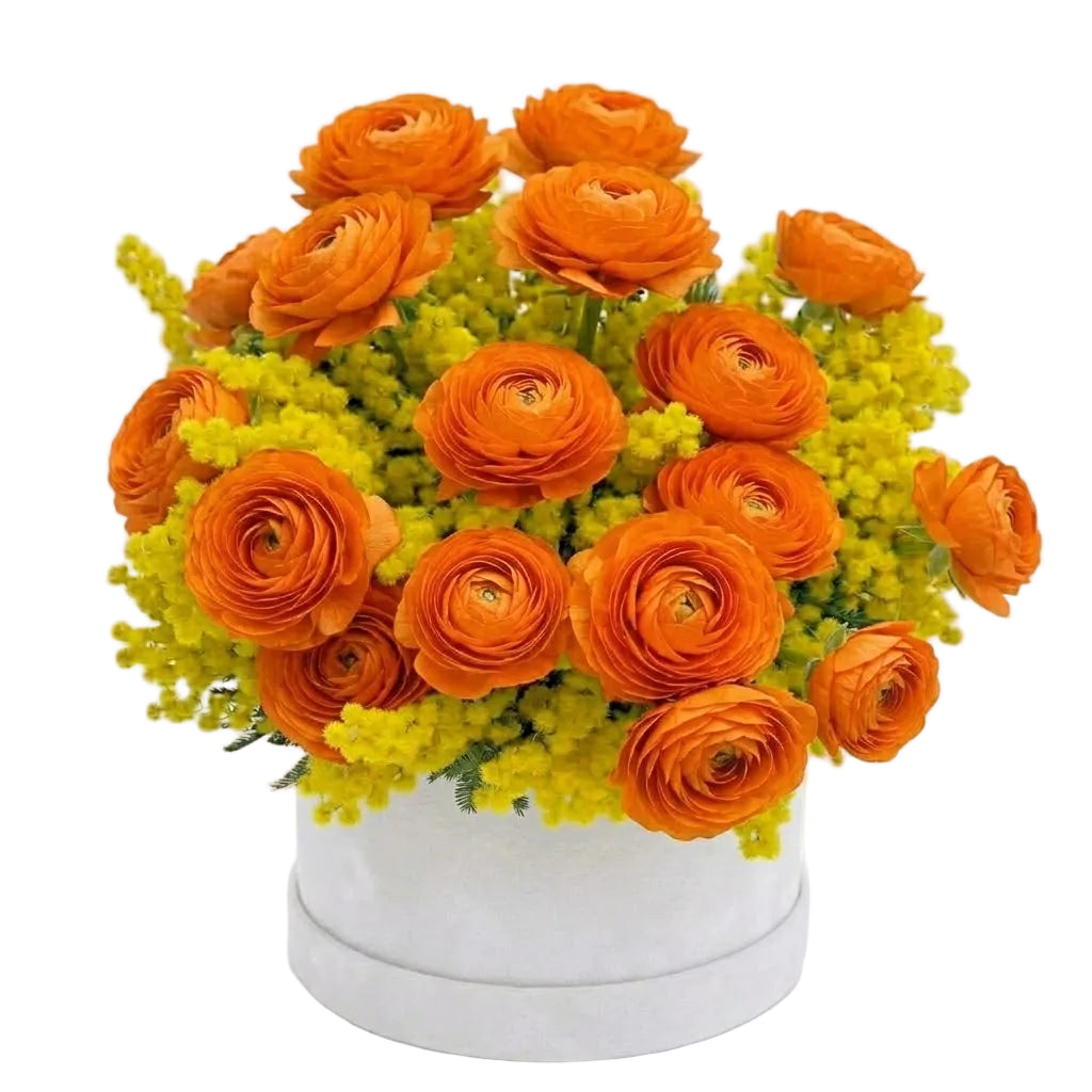 Ranunculus with Scented Mimosa Box