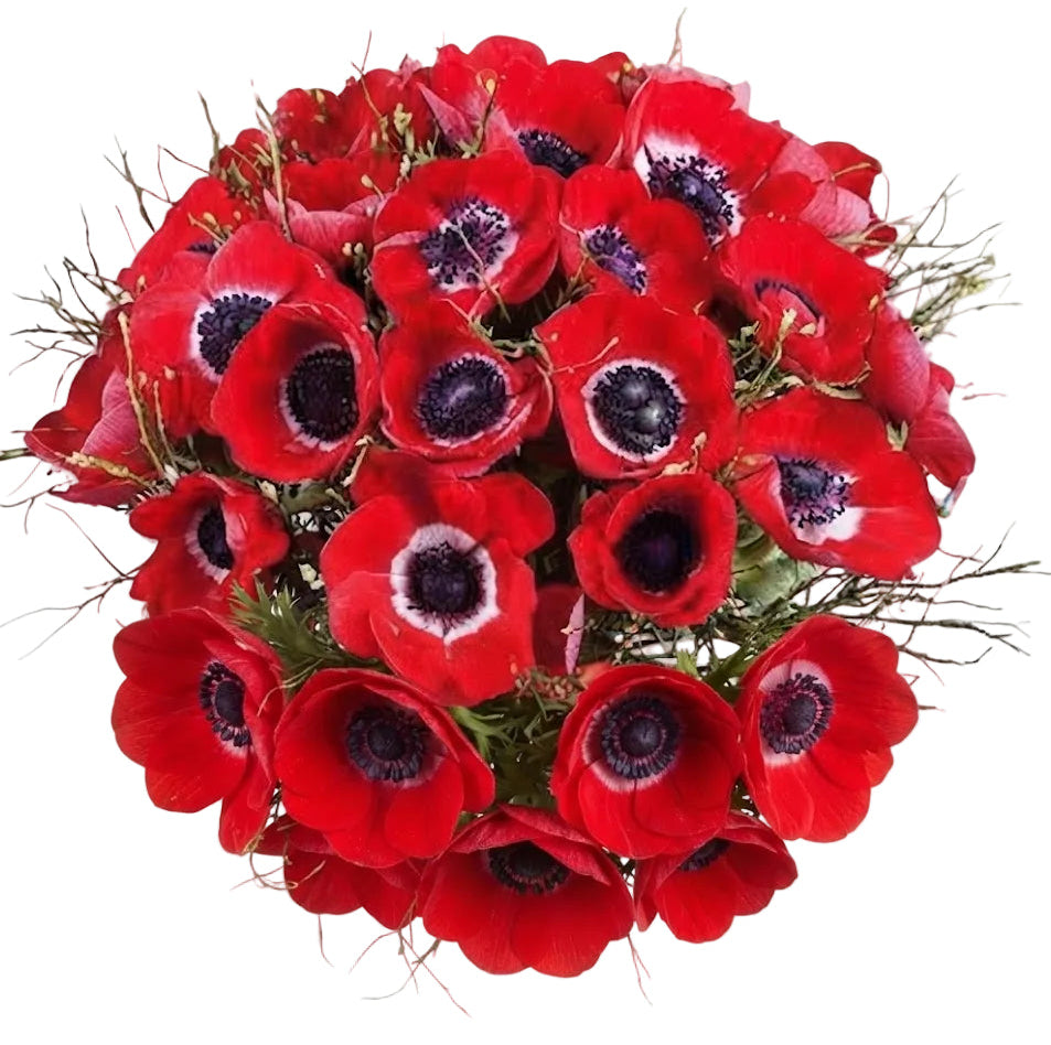Red Anemone Classic Bouquet