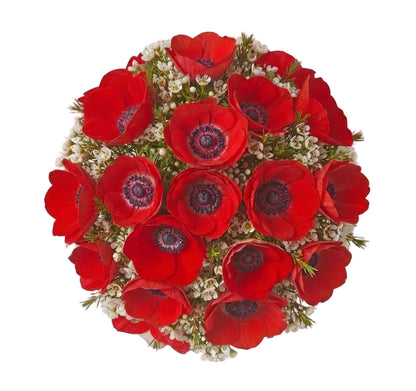 Red Anemone and Wax Flowers Bouquet