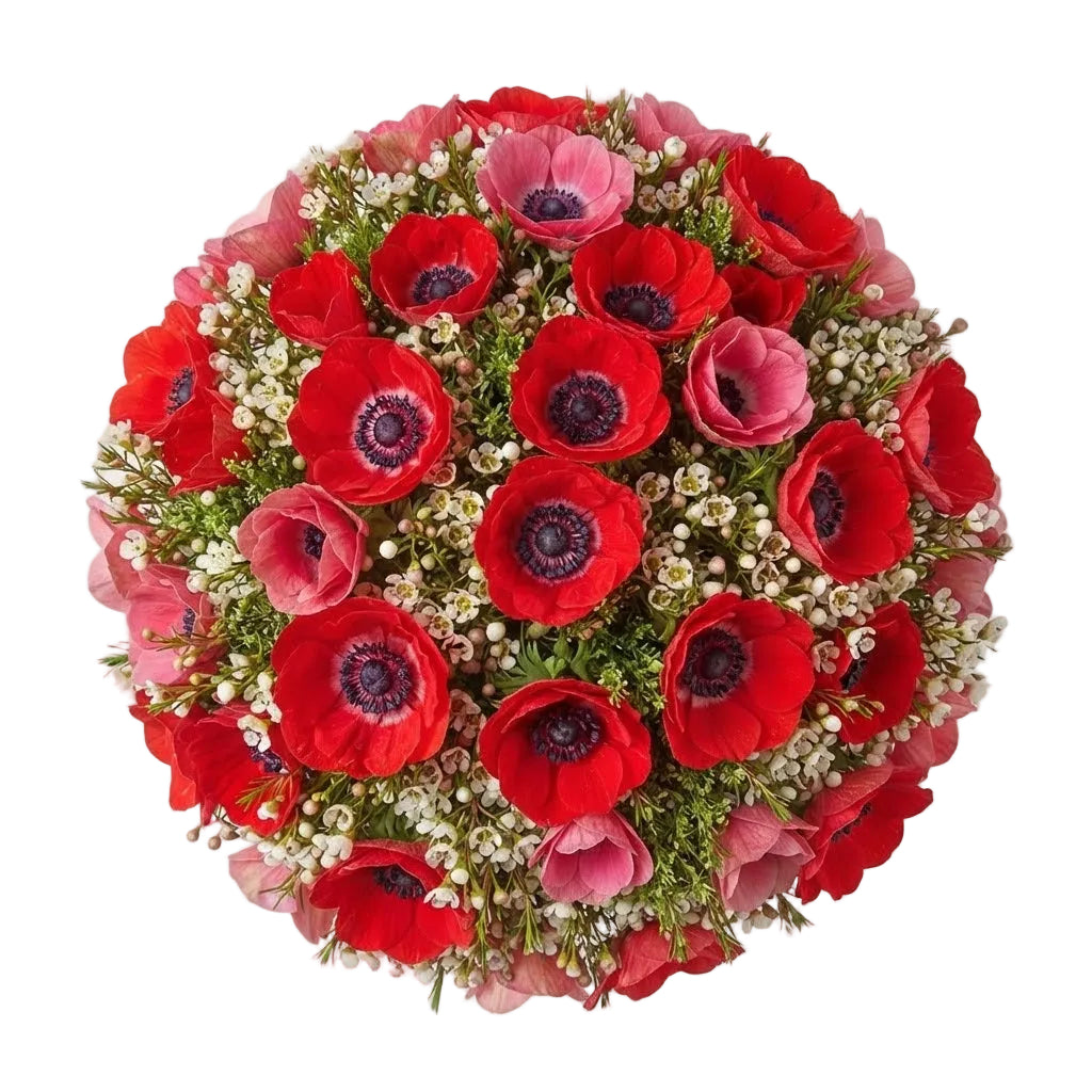 Red Anemone and Wax Flowers Bouquet