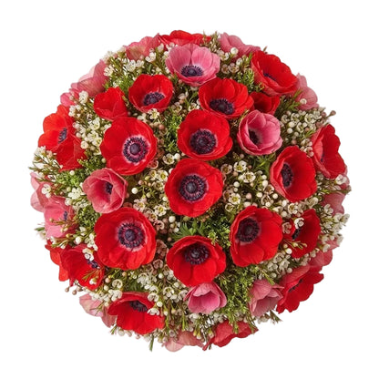 Red Anemone and Wax Flowers Bouquet