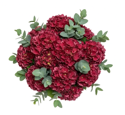 Red Hydrangea with Eucalyptus Bouquet