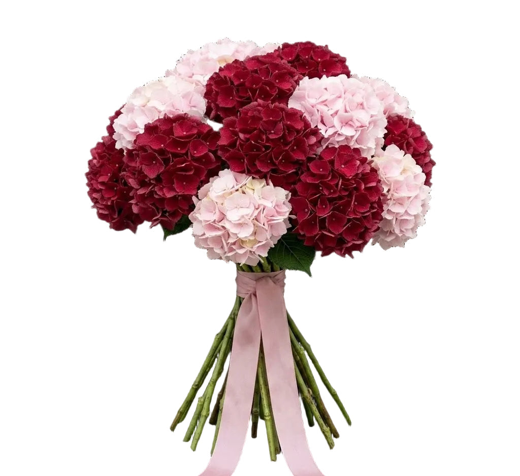 Red and Pink Hydrangea Luxury Bouquet