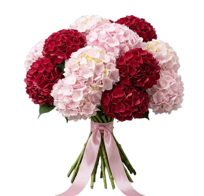 Red and Pink Hydrangea Luxury Bouquet
