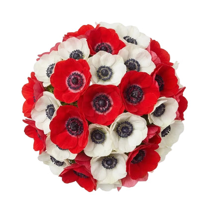 Red and White Anemones Bouquet