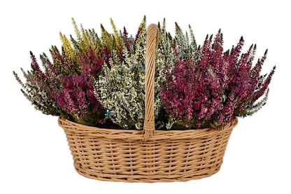 Rustic Basket of Heather