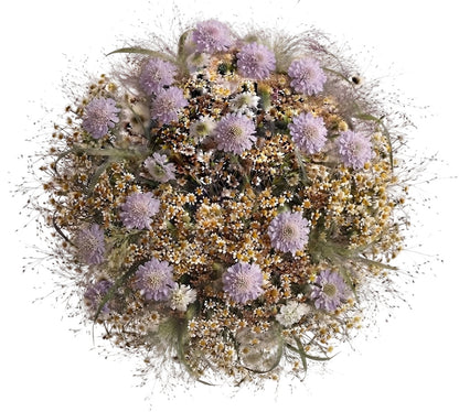 Scabiosa with Tanacetum in Panicum Grass Bouquet