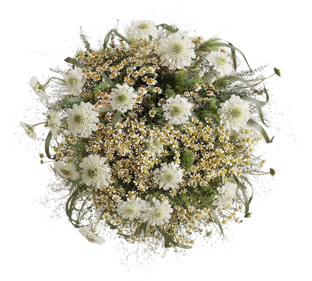 Scabiosa with Tanacetum in Panicum Grass Bouquet