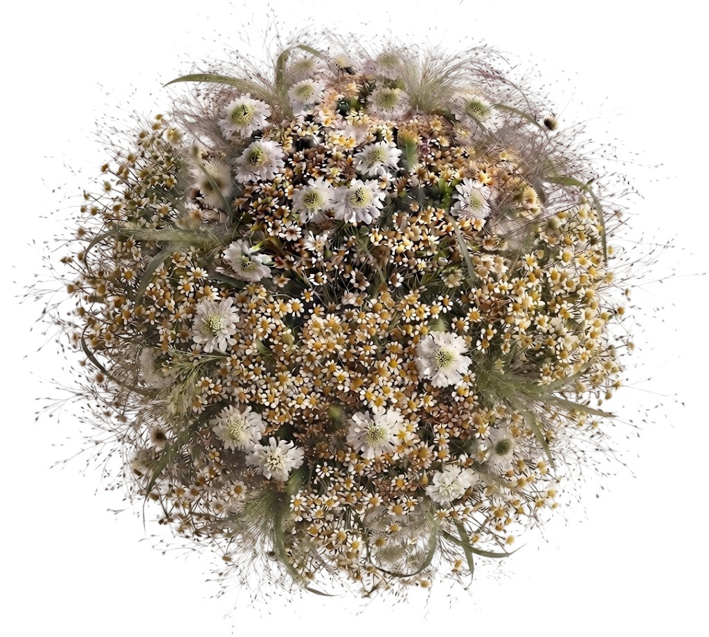 Scabiosa with Tanacetum in Panicum Grass Bouquet