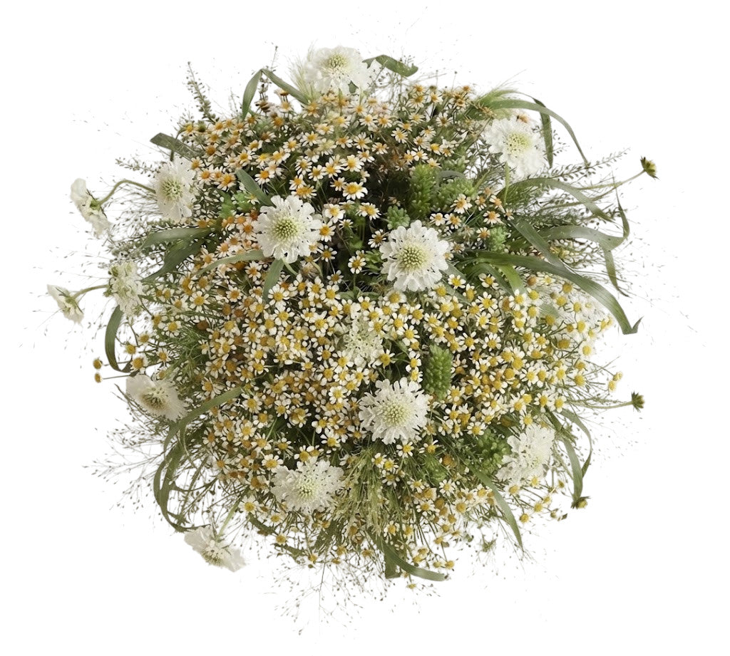 Scabiosa with Tanacetum in Panicum Grass Bouquet