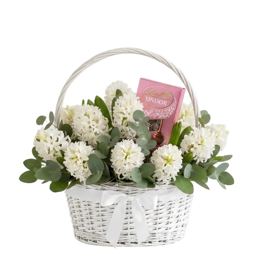 Spring Hyacinth Gift Hamper with Chocolate Truffles