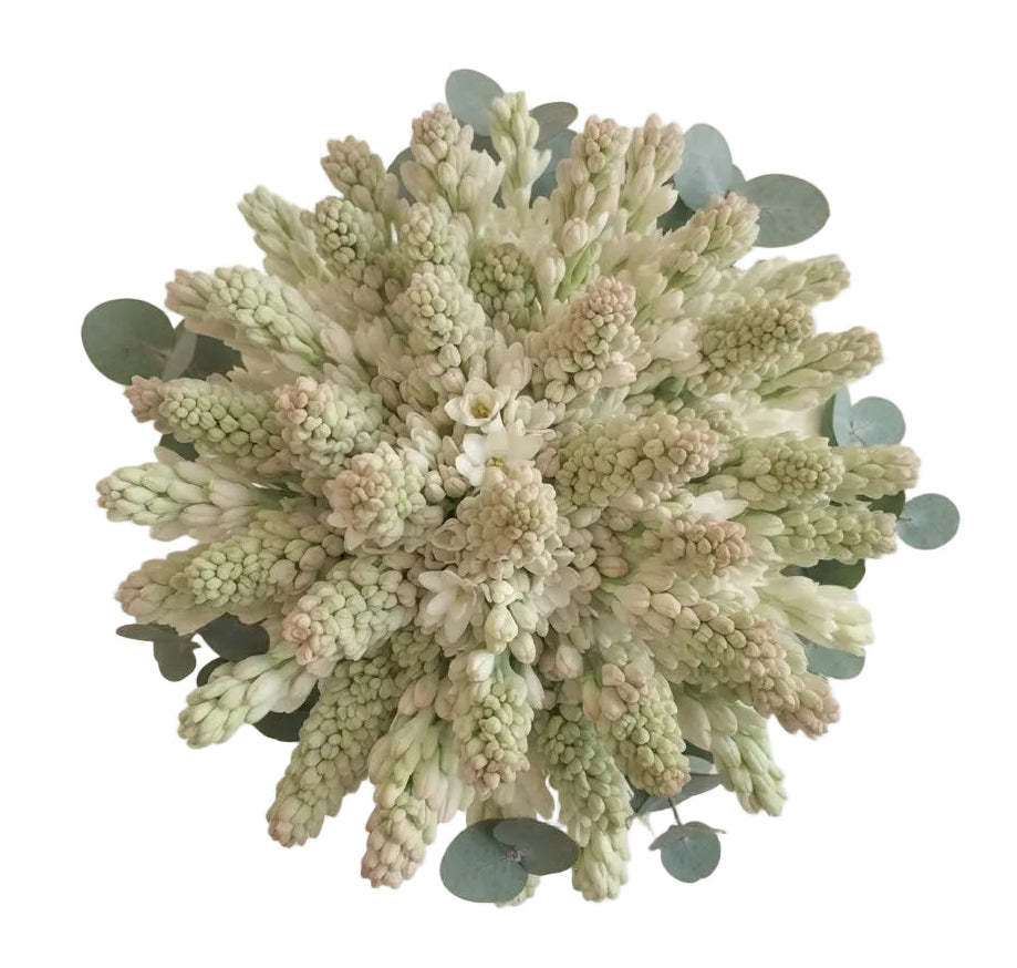 Tuberosa with Eucalyptus Bouquet
