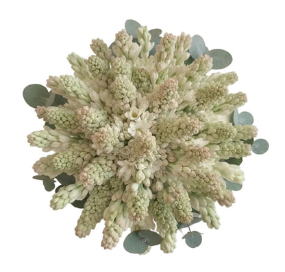 Tuberosa with Eucalyptus Bouquet