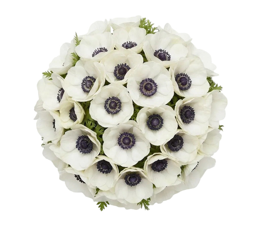 White Anemone Bouquet