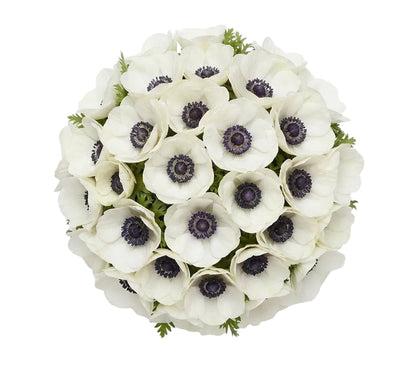 White Anemone Bouquet