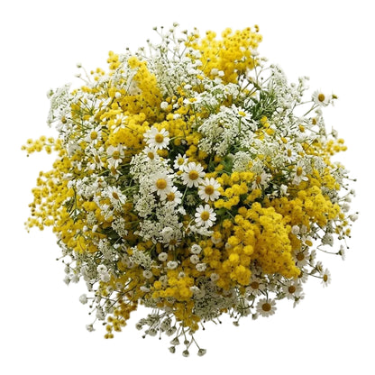Wild with Mimosa Bouquet