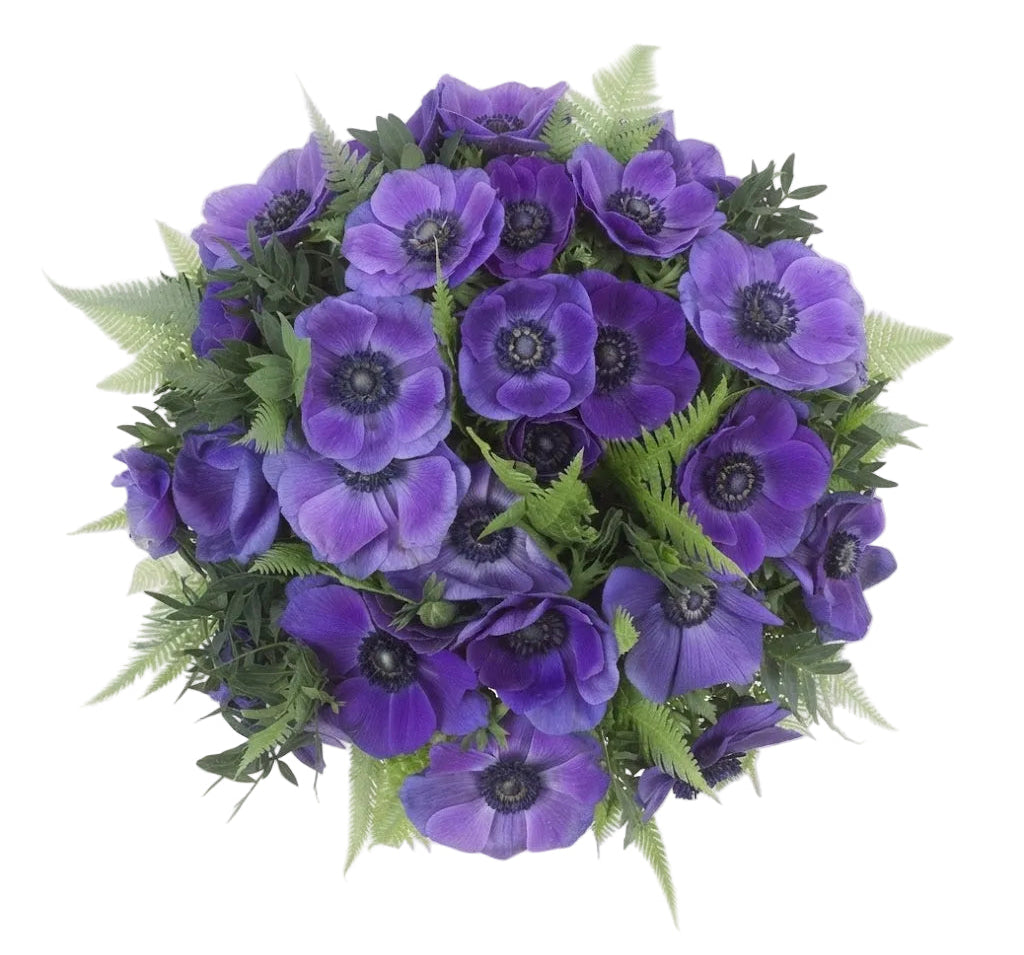 Wonderful Anemone Bouquet