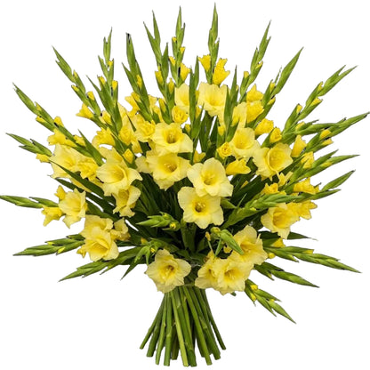 Yellow Gladiolus Bouquet