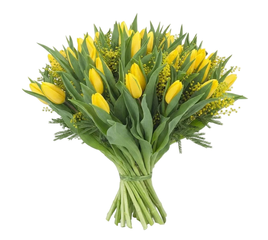 Yellow Tulips with Mimosa Bouquet
