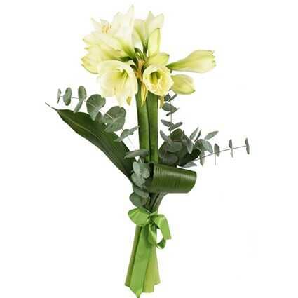 Amaryllis and Eucalyptus Bouquet