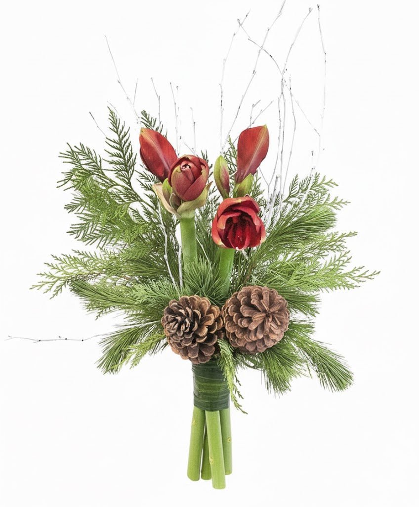 Amaryllis Winter Bouquet with Cones - Florist London