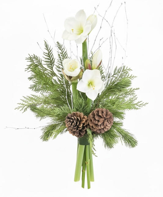 Amaryllis Winter Bouquet with Cones - Florist London