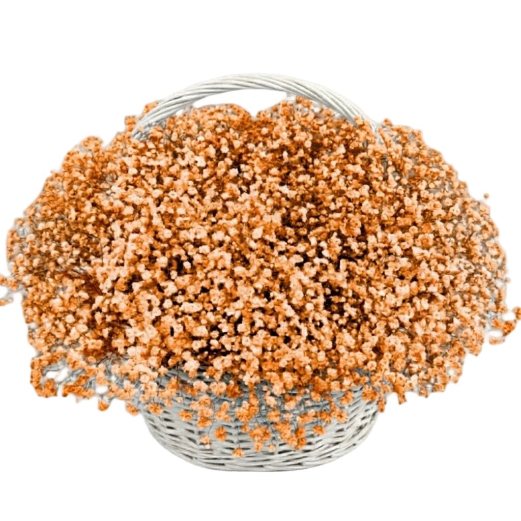 Amazing Basket of Gypsophila - Florist London