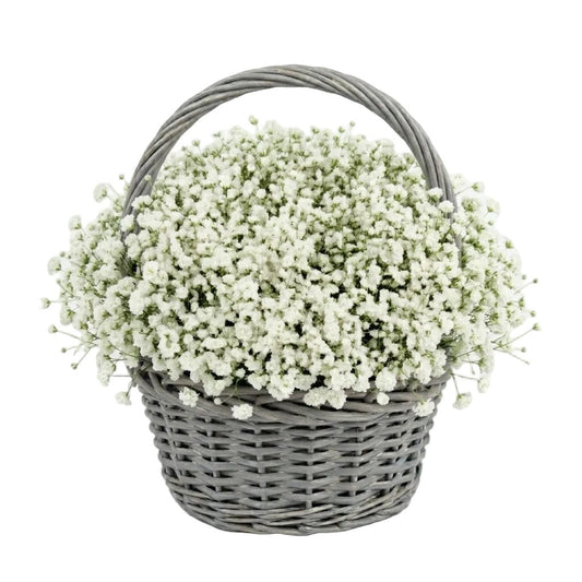 Amazing Basket of Gypsophila - Florist London
