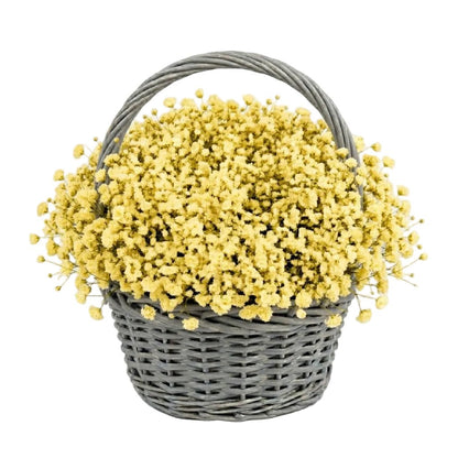 Amazing Basket of Gypsophila - Florist London