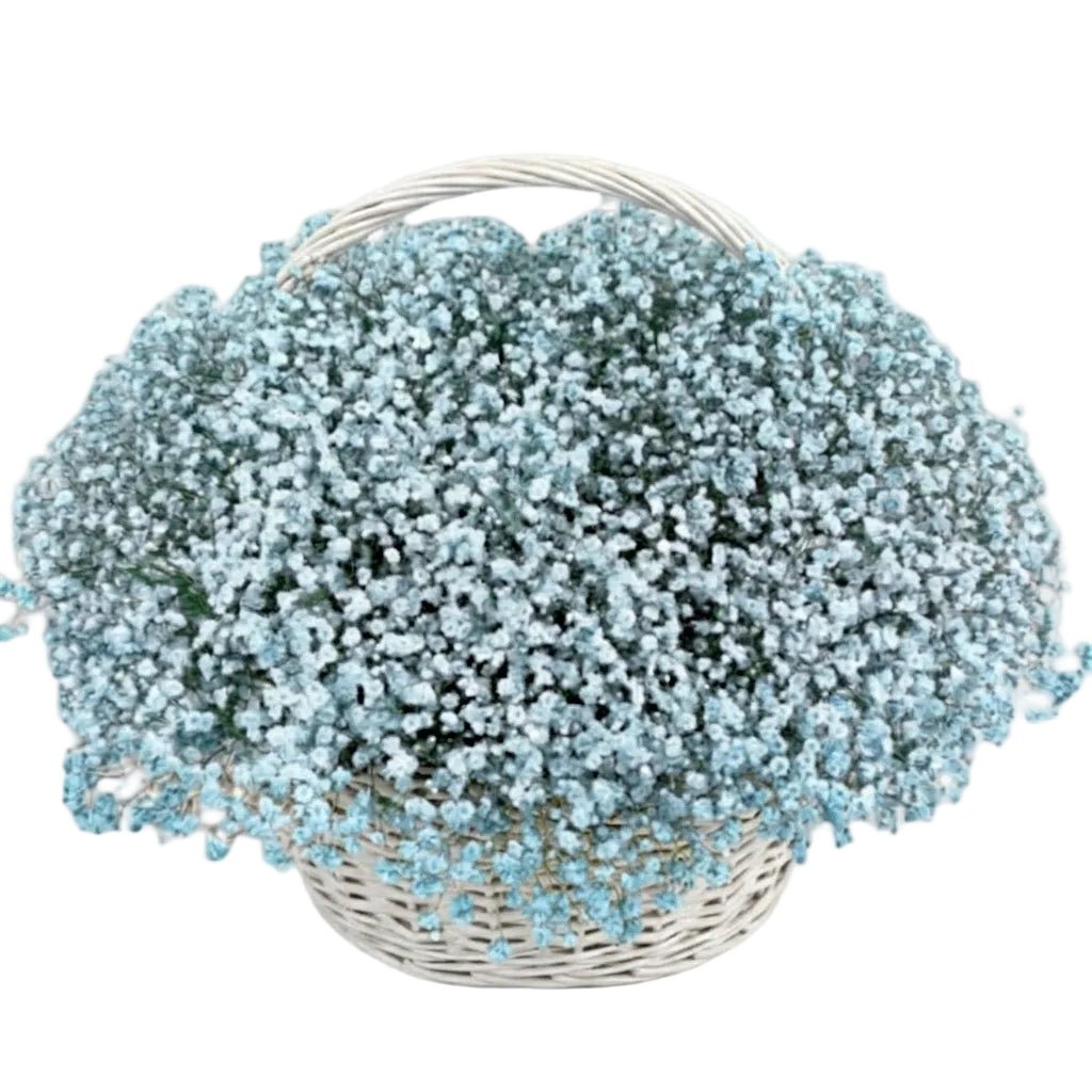 Amazing Basket of Gypsophila - Florist London