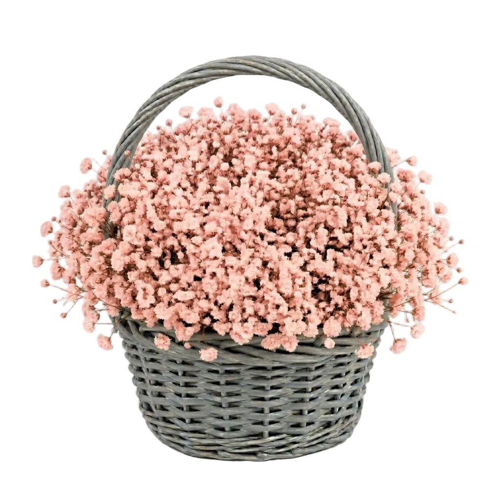 Amazing Basket of Gypsophila - Florist London