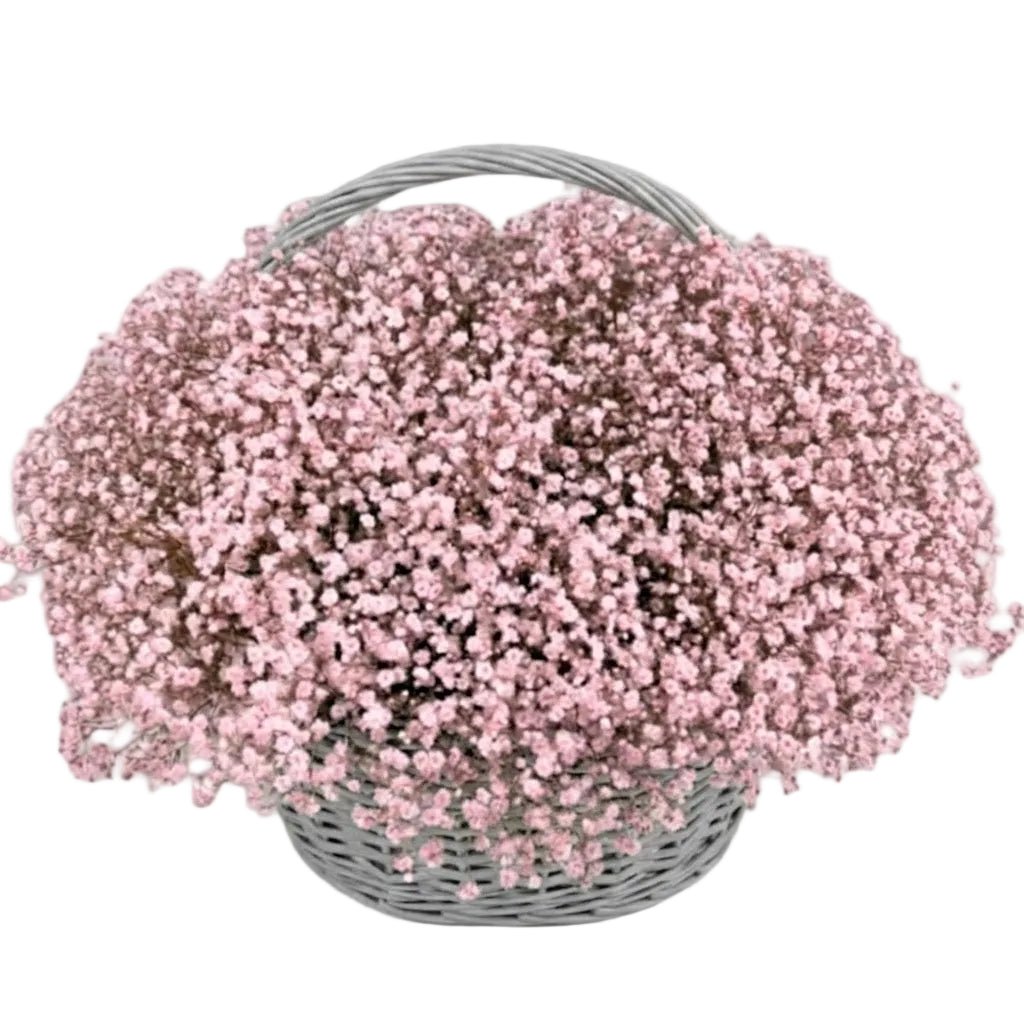 Amazing Basket of Gypsophila - Florist London