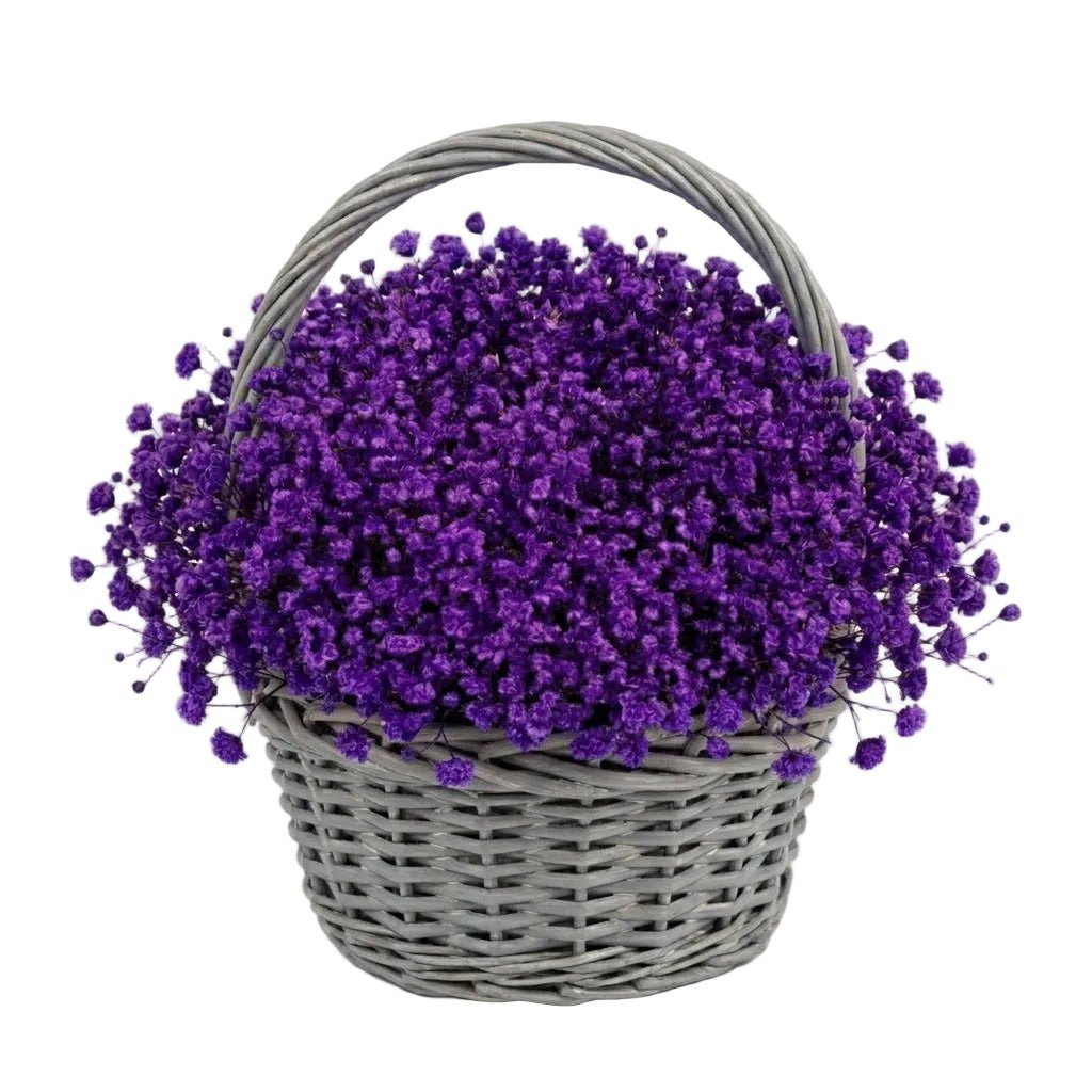 Amazing Basket of Gypsophila - Florist London