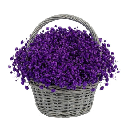 Amazing Basket of Gypsophila - Florist London
