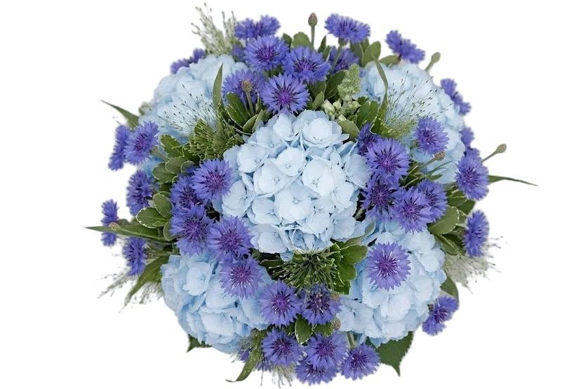 Amazing Bouquet of Hydrangea and Cornflowers - Florist London