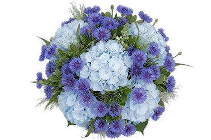 Amazing Bouquet of Hydrangea and Cornflowers - Florist London