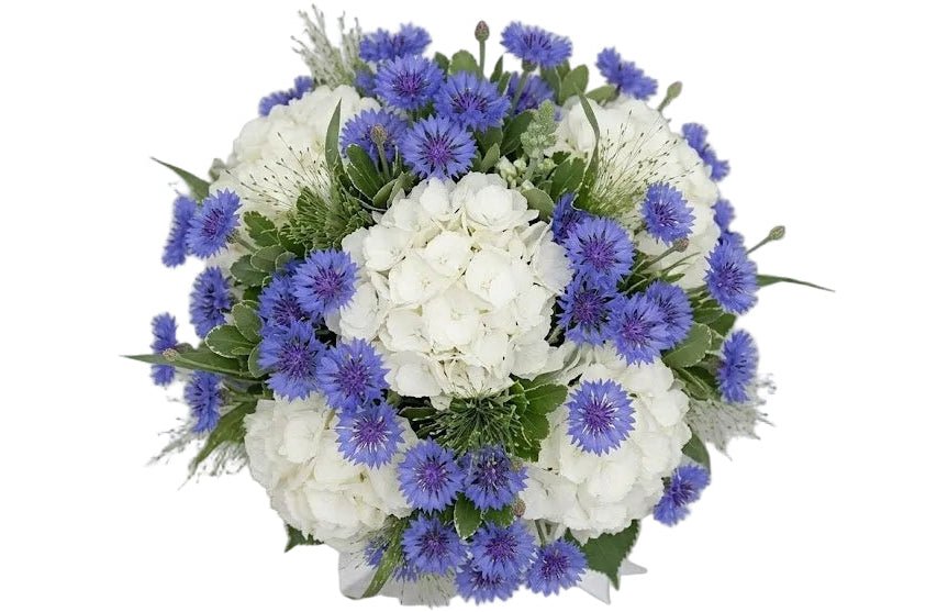 Amazing Bouquet of Hydrangea and Cornflowers - Florist London