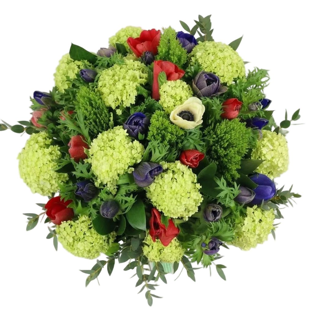Anemone in Green Bouquet - Florist London