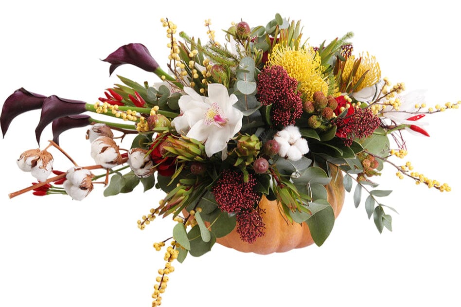 Autumn in Blooms Pumpkin Composition - Florist London