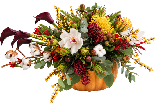 Autumn in Blooms Pumpkin Composition - Florist London
