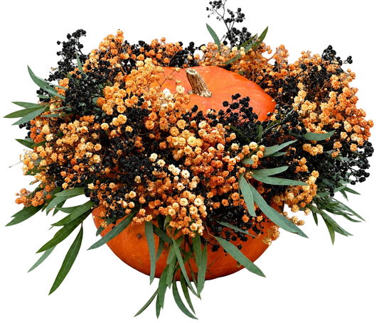 Baby's Breath Flowers in Pumpkin - Florist London