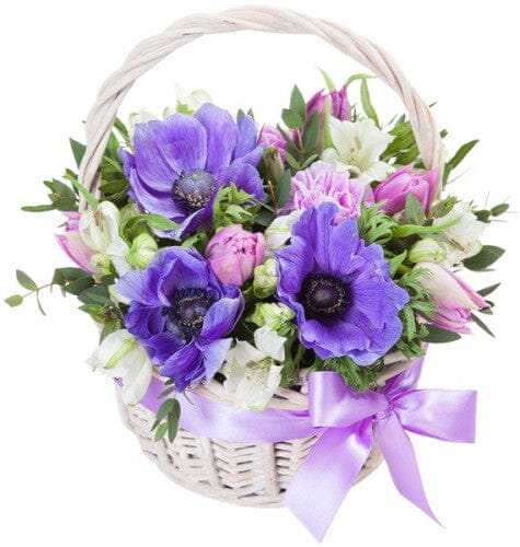 Basket of Blue Anemone and Pink Tulips