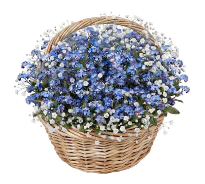 Basket of Blue Forget-Me-Not with Gypsophila - Florist London