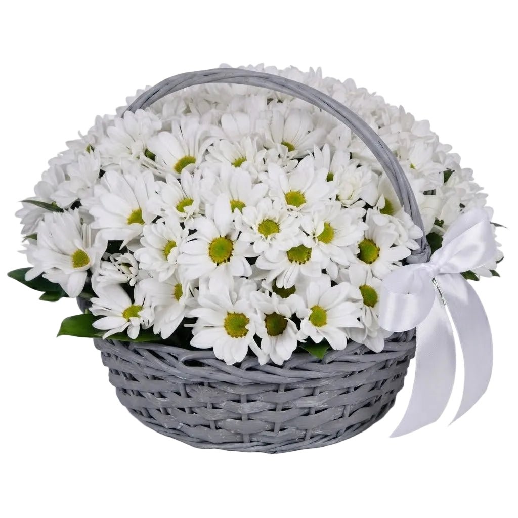 Basket of Daisy Chrysanthemum - Florist London