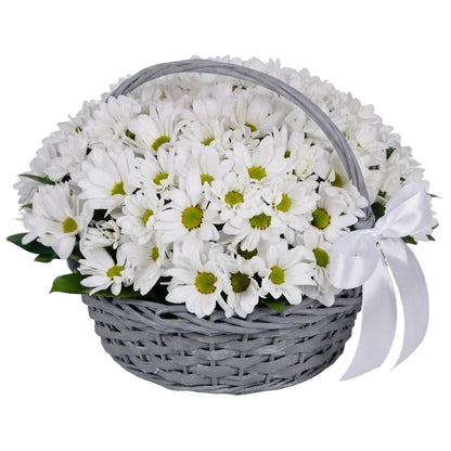 Basket of Daisy Chrysanthemum - Florist London