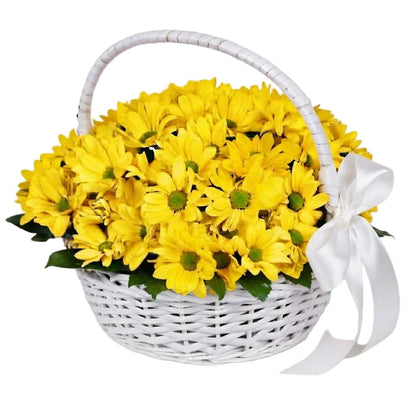 Basket of Daisy Chrysanthemum - Florist London
